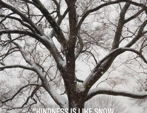 Kindness in Action