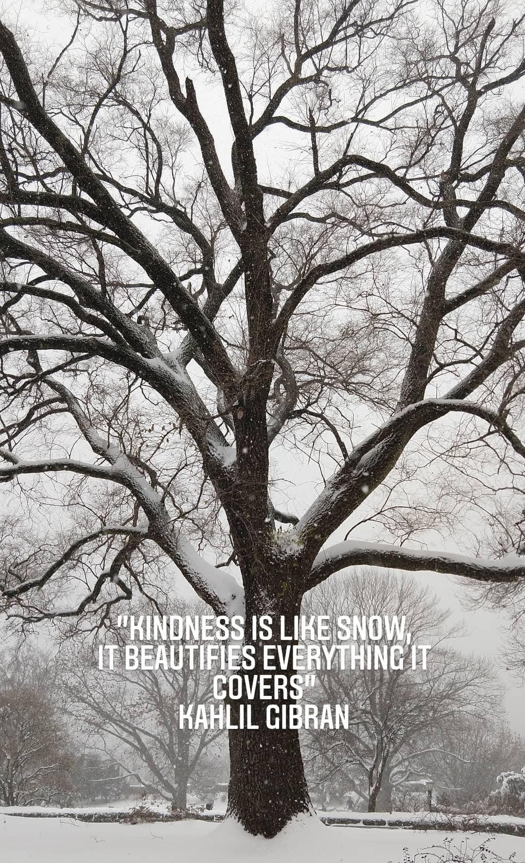 Kindness