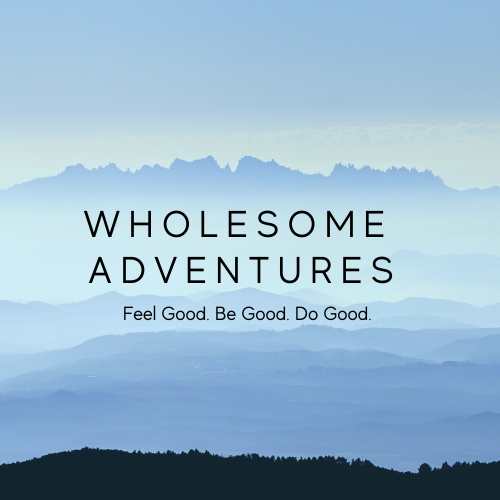 Wholesome Life Adventures