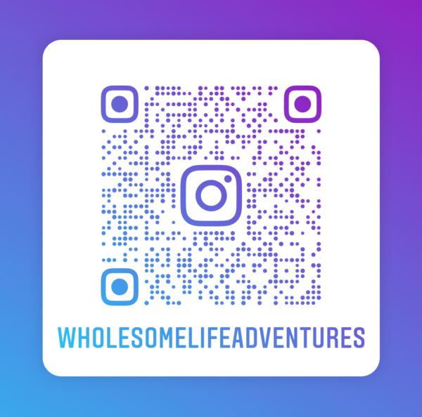 Wholesome Life Adventures