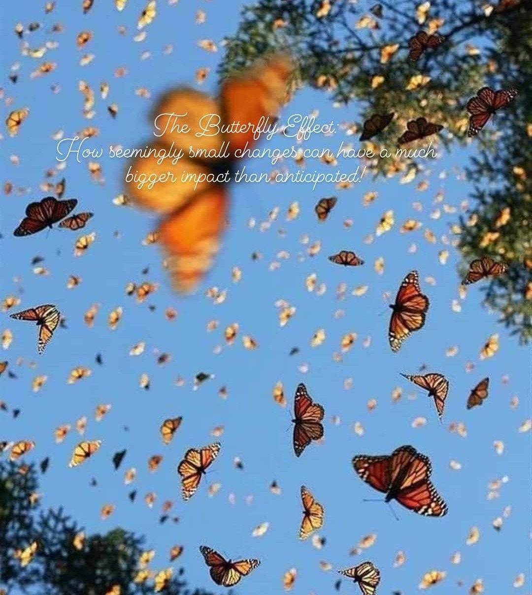 Butterfly Effect in Action