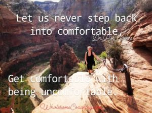 https://wholesomecoaching.com/success-track-three-month-online-selfcoaching-program/